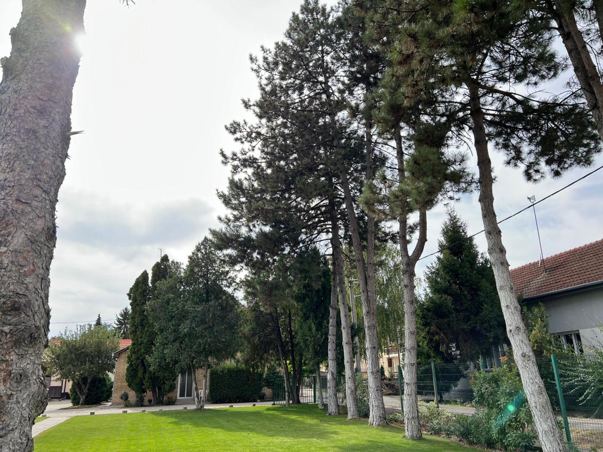 Bezdan Guesthouse Εξωτερικό φωτογραφία