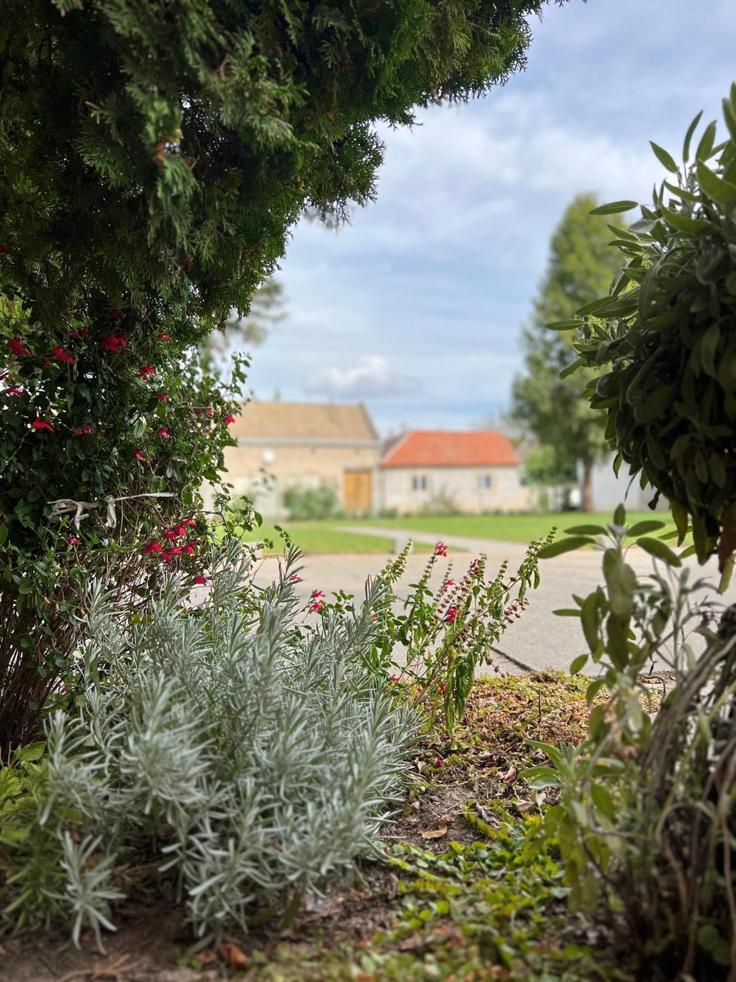 Bezdan Guesthouse Εξωτερικό φωτογραφία